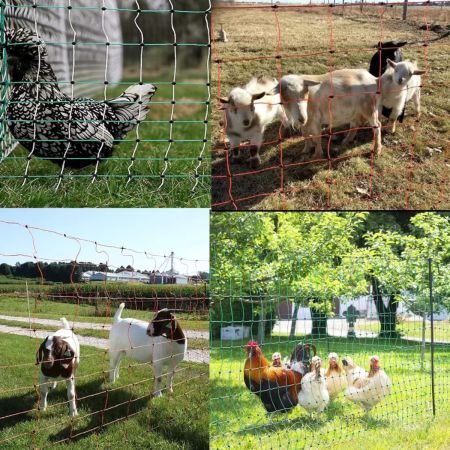 Сеть электрическая для овец и коз FarmGuard, 90 см / 50 м