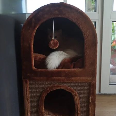 Когтеточка-домик 40х40х70 см, коричневый Когтеточка-домик 40х40х70 см, коричневый