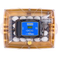 Инкубатор Brinsea Ovation 28 Zoologica Инкубатор Brinsea Ovation 28 Zoologica