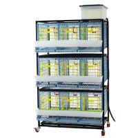 Клетка Comfortplast для кур-несушек 3 секции, 3 яруса высотой по 40 см, пластиковая