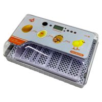 Инкубатор HHD 20 автоматический с овоскопом на 20 яиц