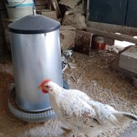 Кормушка бункерная 40 кг оцинкованная сталь