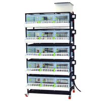 Брудер для цыплят CB25 3 секции, 5 ярусов, 98x60x196 см, пластиковый