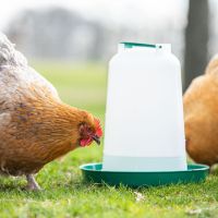 Поилка вакуумная 3 л, комплект 2 шт.