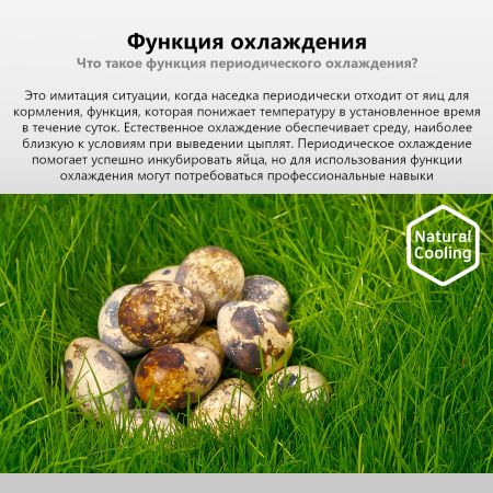 Инкубатор Rcom 20 DO PRO автоматический для яиц с овоскопом Инкубатор Rcom 20 DO PRO автоматический для яиц с овоскопом