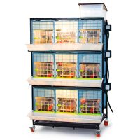 Брудер для цыплят CB40 3 секции, 3 яруса, 98x64x173 см, пластиковый