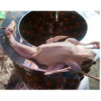 Перосъёмная машина NT-600A для уток и гусей