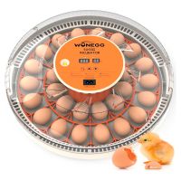 Инкубатор HHD 30H WONEGG автоматический с овоскопом на 30 яиц