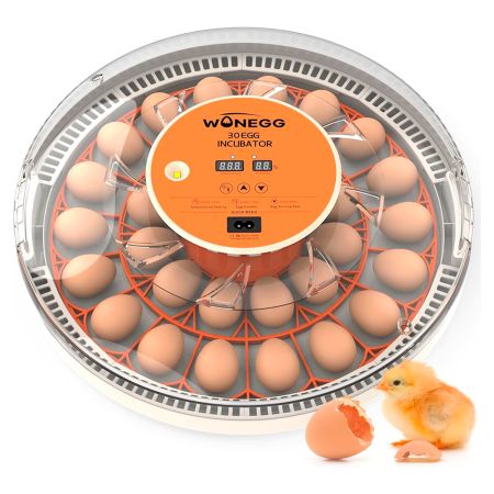 Инкубатор HHD 30H WONEGG автоматический с овоскопом на 30 яиц