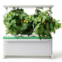 Гидропонная установка HobbyFarm DQ62003, домашний умный смарт сад, 3 ячейки с фитолампой