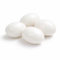 Подкладное яйцо для голубей 1 шт.