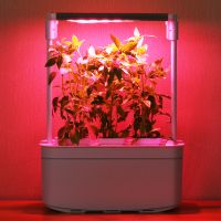 Гидропонная установка HobbyFarm Mini DQ6200-LA, домашний умный смарт сад, 3 ячейки, с фитолампой