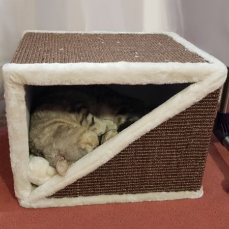 Когтеточка-домик 40х35х30 см, коричневый