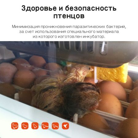 Инкубатор Rcom King Suro 20 MAX автоматический для яиц Инкубатор Rcom King Suro 20 MAX автоматический для яиц