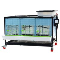 Брудер для цыплят CB40 3 секции, 91x64x49 см, пластиковый