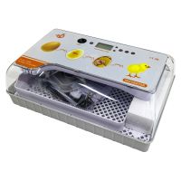 Инкубатор HHD 20 автоматический с овоскопом на 20 яиц