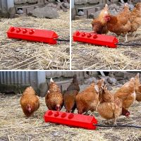 Поилка автоматическая для птиц, пластик, красная