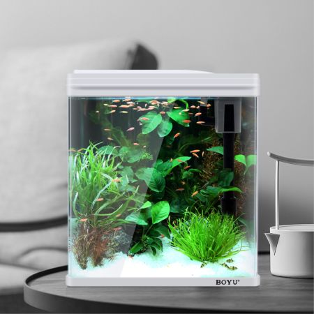 Аквариум Boyu EM-250 панорамный 7,5 л с фильтром и LED-лампой, белый