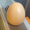 Подкладное яйцо для кур 1 шт.