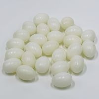 Подкладное яйцо для голубей 1 шт.