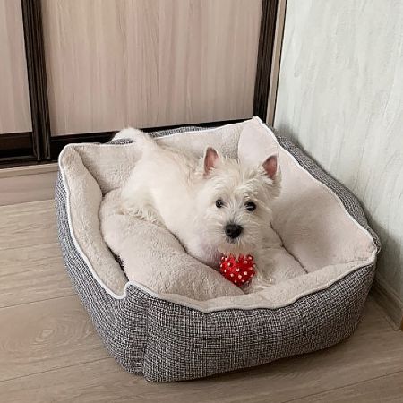 Лежак с бортом 70х58х22 см, меховой, съемная подушка, серый