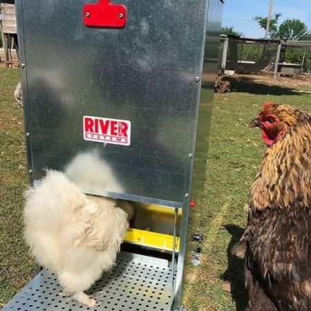 Кормушка педальная ALMA 28 л для кур