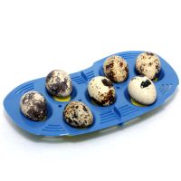 Лоток на 7 маленьких яиц для инкубатора Rcom MINI