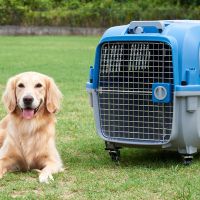 Переноска Superior Range 82x60x58 см, для кошек и собак Pet Choice с колесами и выдвижной ручкой