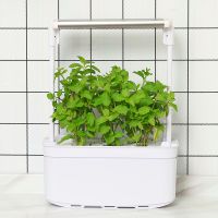 Гидропонная установка HobbyFarm Mini DQ6200-LB-6, домашний умный смарт сад, 6 ячеек, с фитолампой