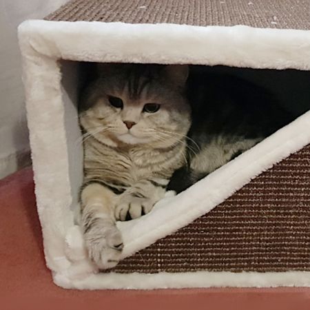 Когтеточка-домик 40х35х30 см, коричневый