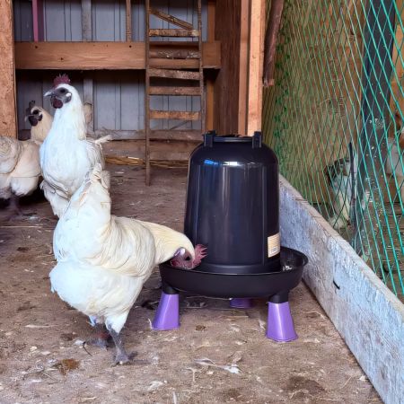 Поилка вакуумная ECO Recycled 5 л с ручкой на ножках