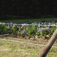 Натяжитель катушечный для проводов и тросов круглый