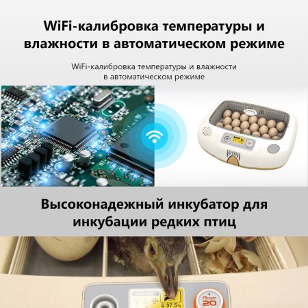 Инкубатор Rcom 20 DO PRO автоматический для яиц с овоскопом Инкубатор Rcom 20 DO PRO автоматический для яиц с овоскопом