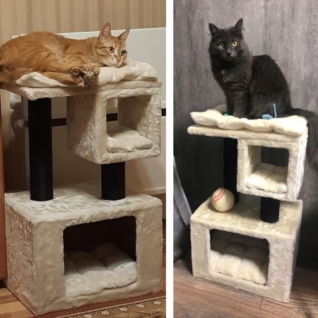 Когтеточка-комплекс 40х30х67 см, с подушками, кремовый