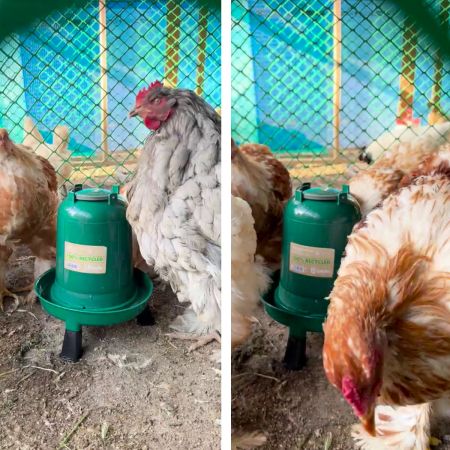 Поилка вакуумная ECO Recycled 3 л с ручкой на ножках