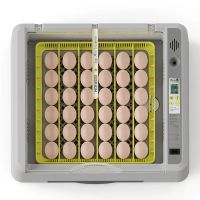Инкубатор HHD 36 автоматический с овоскопом на 36 яиц