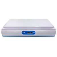 Инкубатор HHD Blue Star 120 автоматический на 120 яиц