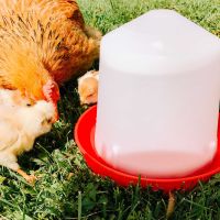 Поилка вакуумная 3 л