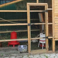 Поилка сифонная 30 л Corti, пластиковые ножки