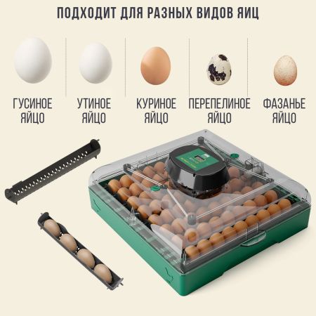 Инкубатор для яиц автоматический Des Champs EU PROFI C-72 на 72 куриных яйца