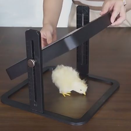 Панель обогревательная WONEGG HHD 24x24 см 13 Вт для цыплят