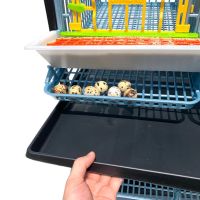 Дополнительный ярус клетки Comfortplast для перепелов с яйцесборником 98х61х35 см пластиковый