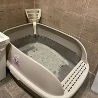 Лоток для кошек XL с совком Catidea 63х45х25 см, коричневый