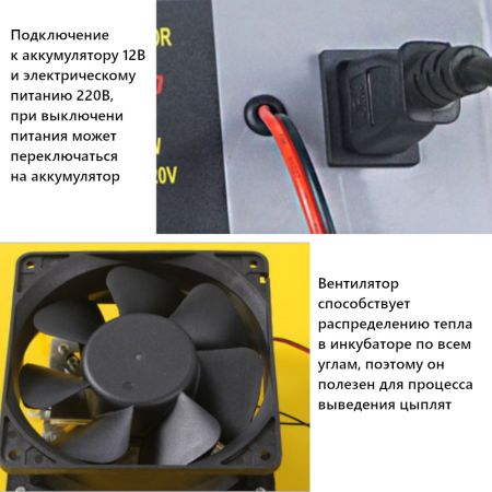 Инкубатор HHD 48 автоматический 220В/12В от сети и аккумулятора на 48 яиц